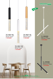 ANDORA LIGHT 2026 Trang 278