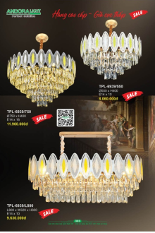 ANDORA LIGHT 2025 Trang 303 ANDORA LIGHT 2025 Trang 303