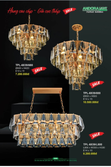 ANDORA LIGHT 2025 Trang 306 ANDORA LIGHT 2025 Trang 306