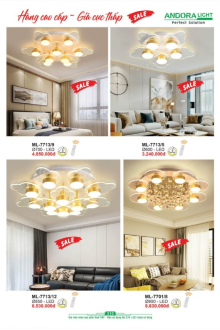 ANDORA LIGHT 2025 Trang 310 ANDORA LIGHT 2025 Trang 310