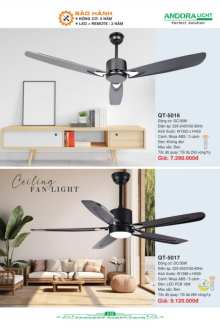 ANDORA LIGHT 2026 Trang 310