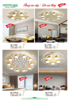 ANDORA LIGHT 2025 Trang 311 ANDORA LIGHT 2025 Trang 311