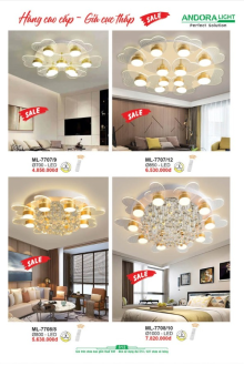 ANDORA LIGHT 2025 Trang 312 ANDORA LIGHT 2025 Trang 312
