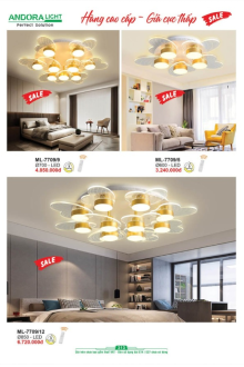ANDORA LIGHT 2025 Trang 313 ANDORA LIGHT 2025 Trang 313