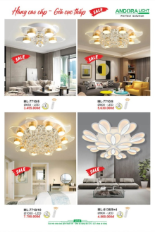 ANDORA LIGHT 2025 Trang 314 ANDORA LIGHT 2025 Trang 314