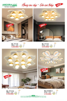 ANDORA LIGHT 2025 Trang 315 ANDORA LIGHT 2025 Trang 315