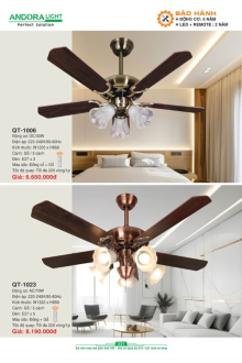 ANDORA LIGHT 2025 Trang 331 ANDORA LIGHT 2025 Trang 331