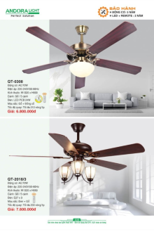 ANDORA LIGHT 2025 Trang 333 ANDORA LIGHT 2025 Trang 333