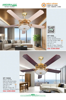 ANDORA LIGHT 2025 Trang 335 ANDORA LIGHT 2025 Trang 335