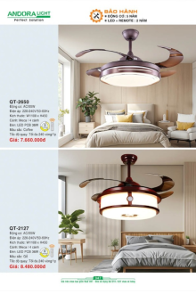 ANDORA LIGHT 2025 Trang 347 ANDORA LIGHT 2025 Trang 347