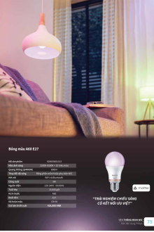 CATALO PHILLIP 2025 Trang 75