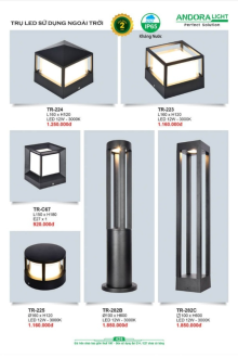 ANDORA LIGHT 2025 Trang 426 ANDORA LIGHT 2025 Trang 426