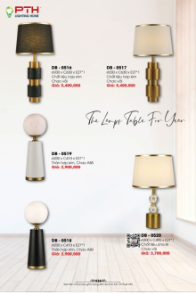 LIGHTING HOME 2026 Trang 436