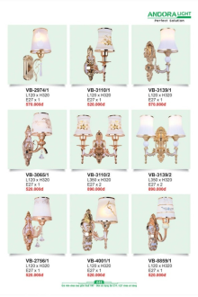 ANDORA LIGHT 2025 Trang 446 ANDORA LIGHT 2025 Trang 446