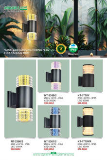 ANDORA LIGHT 2025 Trang 451 ANDORA LIGHT 2025 Trang 451