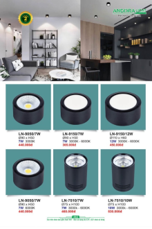 ANDORA LIGHT 2025 Trang 462 ANDORA LIGHT 2025 Trang 462