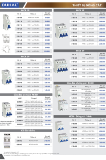 DUHAL 04.2025 Trang 24