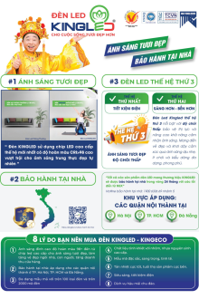 KINGLED 07-2026 Trang 03