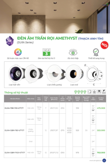 KINGLED 07-2026 Trang 11