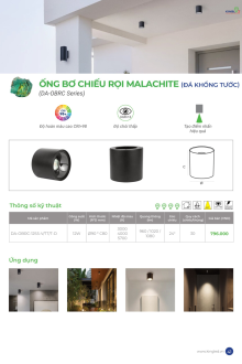 KINGLED 07-2026 Trang 41
