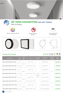 KINGLED 07-2026 Trang 46
