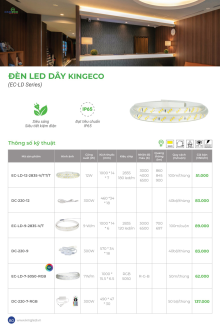 KINGLED 07-2026 Trang 80
