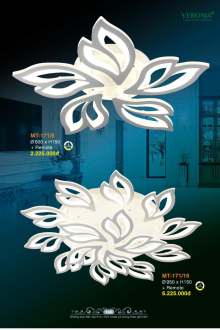 VERONA 2026 Trang 167