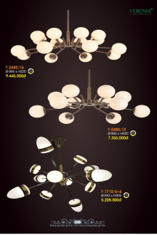 VERONA 2026 Trang 241