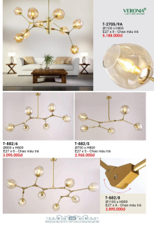 VERONA 2026 Trang 247