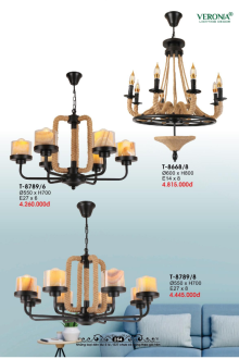 VERONA 2026 Trang 255