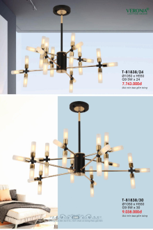 VERONA 2026 Trang 262