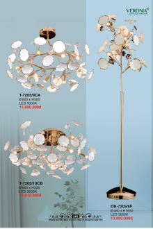 VERONA 2026 Trang 264