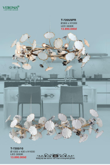 VERONA 2026 Trang 265