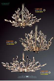 VERONA 2026 Trang 267