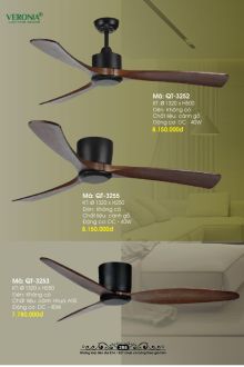 VERONA 2026 Trang 287