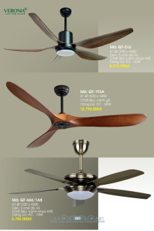 VERONA 2026 Trang 289