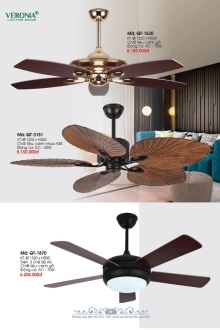 VERONA 2026 Trang 299