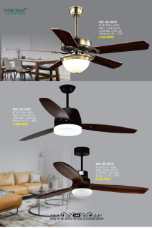 VERONA 2026 Trang 301