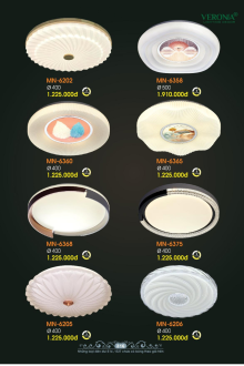 VERONA 2026 Trang 317