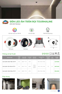 KINGLED 03-2026 Trang 15