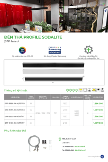KINGLED 03-2026 Trang 19