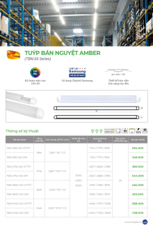 KINGLED 03-2026 Trang 49