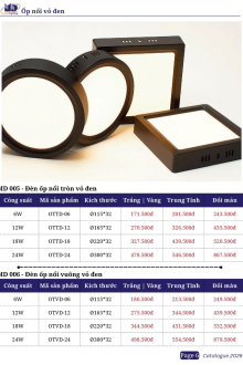 MD LIGHTING 2026-2028 Trang 06
