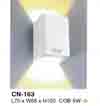 Đèn tường LED CN 163