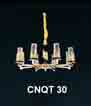CNQT 30