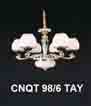 CNQT 98/6 TAY