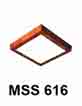 MSS 616