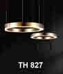 Đèn thả LED trang trí TH 827
