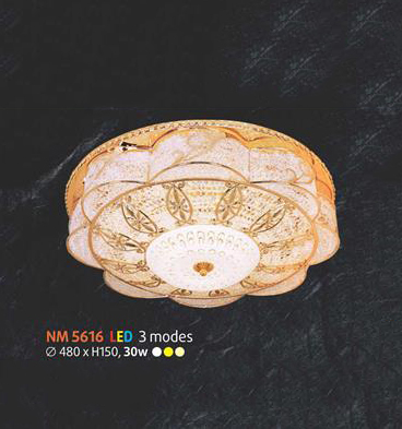 NM 5616