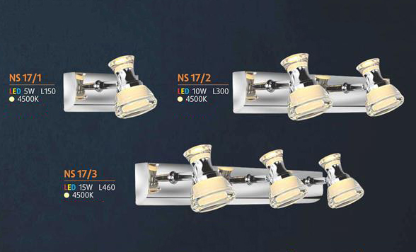 NS 17/1